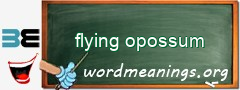 WordMeaning blackboard for flying opossum